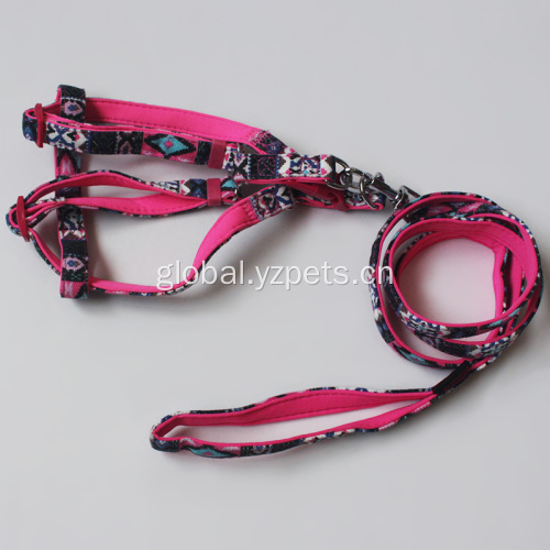 Harness For Small Dog Adjustable custom logo dog harness and leash Manufactory